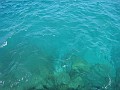 Mackinaw Island Area May 2008 1516